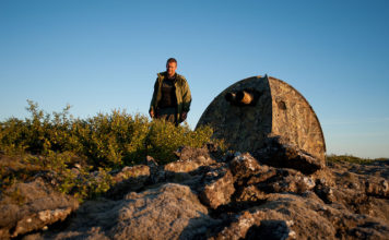 Photographing gyrfalcons from a hide