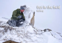 Fun photography action