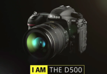 Nikon D500 for bird photography Nikon D500 for bird photography