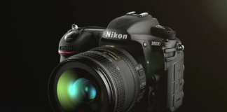 Nikon D500 for bird photography