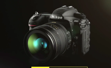 Nikon D500 for bird photography Nikon D500 for bird photography
