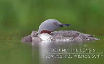 Floating-hide photography