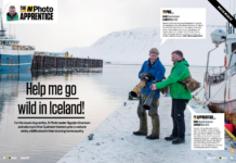Nphoto - go wild in Iceland - Einar Gudmann