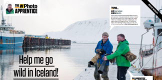 Nphoto - go wild in Iceland - Einar Gudmann