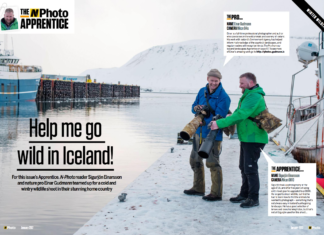 Nphoto - go wild in Iceland - Einar Gudmann
