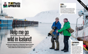 Going wild in Iceland with the N-Photo magazine Nphoto - go wild in Iceland - Einar Gudmann