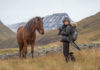 Photographing corralling of icelandic horses in the north