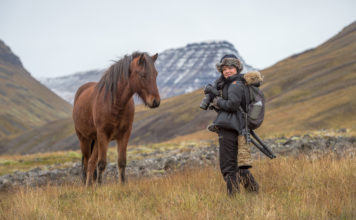 Photographing corralling of icelandic horses in the north
